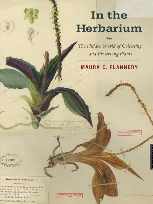 Title details for In the Herbarium by Maura C. Flannery - Available
